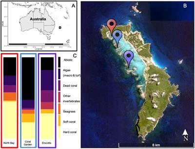 Identification of coral disease within the high-latitude reef, Lord Howe Island Marine Park